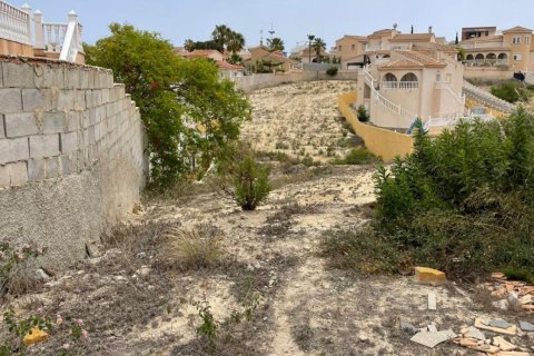 Land plot for sale Ciudad Quesada, Alicante, Spain No. 112911 - photo 11