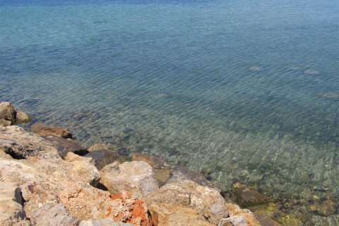 Apartament La Manga del Mar Menor, Murcia, Hiszpania 1 sypialnia, 52 mkw. nr 112915 – zdjęcie 11
