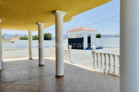 Villa à vendre Cela, Almeria, Espagne, 10 chambres, 513 m2 No. 113116 - photo 24