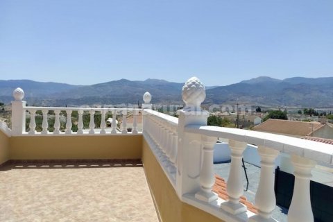 Villa à vendre Cela, Almeria, Espagne, 10 chambres, 513 m2 No. 113116 - photo 18