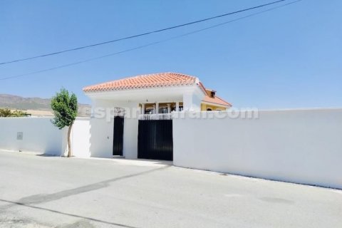 Villa à vendre Cela, Almeria, Espagne, 10 chambres, 513 m2 No. 113116 - photo 30