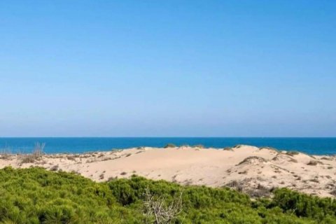 Продажа дома в Гран Алакант, Аликанте, Испания 2 спальни, 58м2 №113099 - фото 22