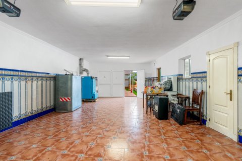 Продажа виллы в Торревьеха, Аликанте, Испания 4 спальни, 360м2 №119078 - фото 23