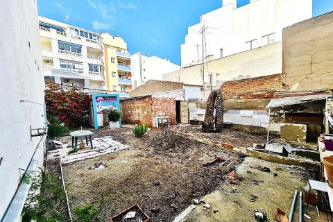 Продажа земельного участка Торревьеха, Аликанте, Испания №111148 - фото 6