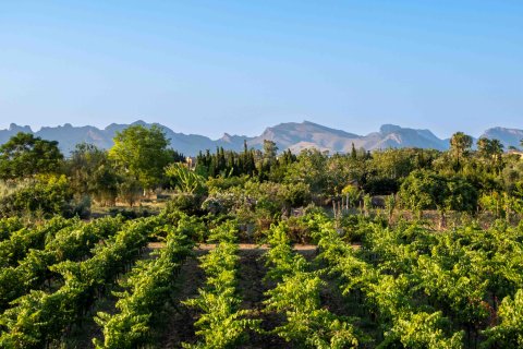 Finca for sale Alcudia, Mallorca, Spain 4 bedrooms, 565 sq.m. No. 32703 - photo 7