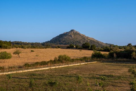 Finca for sale Alcudia, Mallorca, Spain 4 bedrooms, 565 sq.m. No. 32703 - photo 24