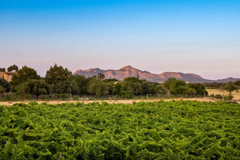 Finca for sale Alcudia, Mallorca, Spain 4 bedrooms, 565 sq.m. No. 32703 - photo 26