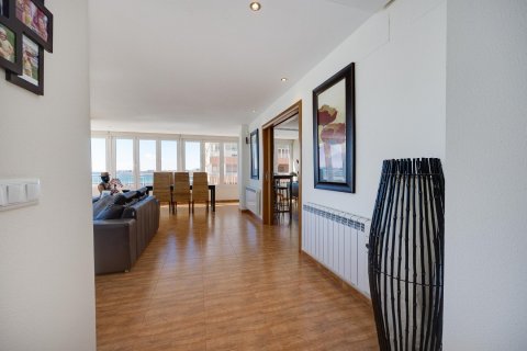 Apartment for sale Torrevieja, Alicante, Spain 3 bedrooms, 100 sq.m. No. 113225 - photo 12