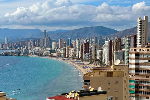 Dzīvoklis pārdošanā Benidorm, Alicante, Spānijā 64 m2 Nr. 109204 - attēls 26