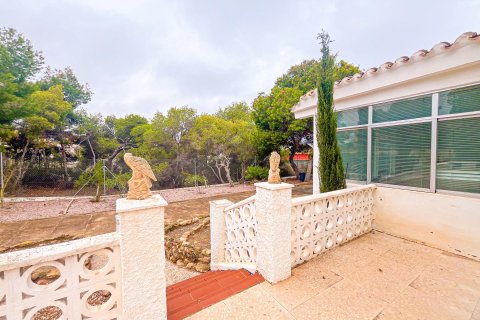 Villa for sale Los Balcones, Alicante, Spain 3 bedrooms, 156 sq.m. No. 109202 - photo 20