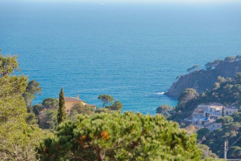 Land zum Verkauf Tossa de Mar, Girona, Spanien Nr. 93230 - Foto 1