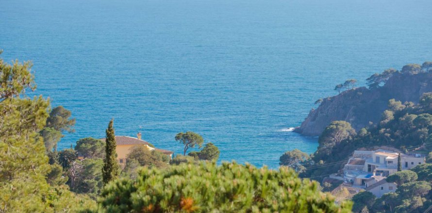 Land Tossa de Mar, Girona, Spanien Nr. 93230