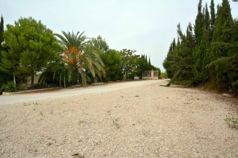 Finca for sale Almoradi, Alicante, Spain 4 bedrooms, 267 sq.m. No. 115338 - photo 12