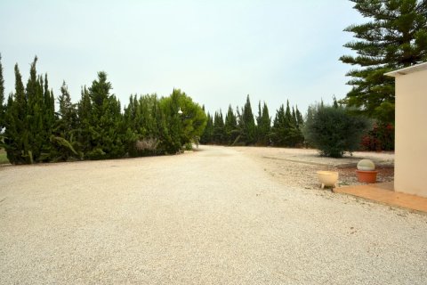 Finca for sale Almoradi, Alicante, Spain 4 bedrooms, 267 sq.m. No. 115338 - photo 14
