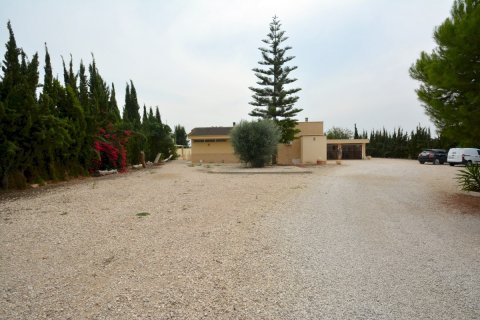Finca for sale Almoradi, Alicante, Spain 4 bedrooms, 267 sq.m. No. 115338 - photo 13