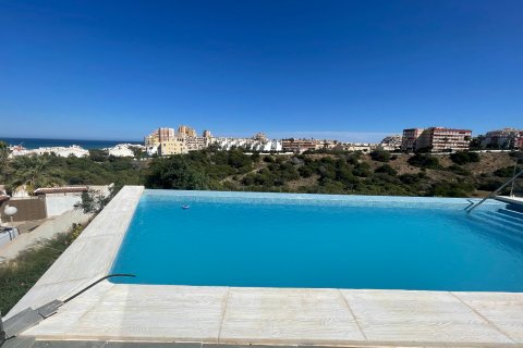 Villa till salu Torrevieja, Alicante, Spanien 5 sovrum, 537 kvm. Nr. 115249 - foto 2