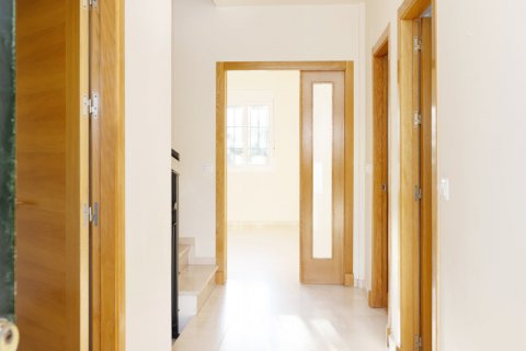 Māja pārdošanā Jerez de la Frontera, Cadiz, Spānijā 4 istabas, 222 m2 Nr. 107831 - attēls 5