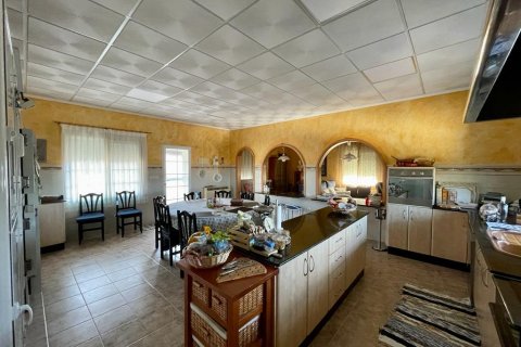 Huvila myytävänä Albatera, Alicante, Espanja, 7 makuuhuonetta, 300 m2 No. 116329 - kuva 6