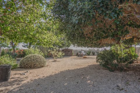Продажа финки Ориуэла, Аликанте, Испания 3 спальни, 110м2 №116250 - фото 28
