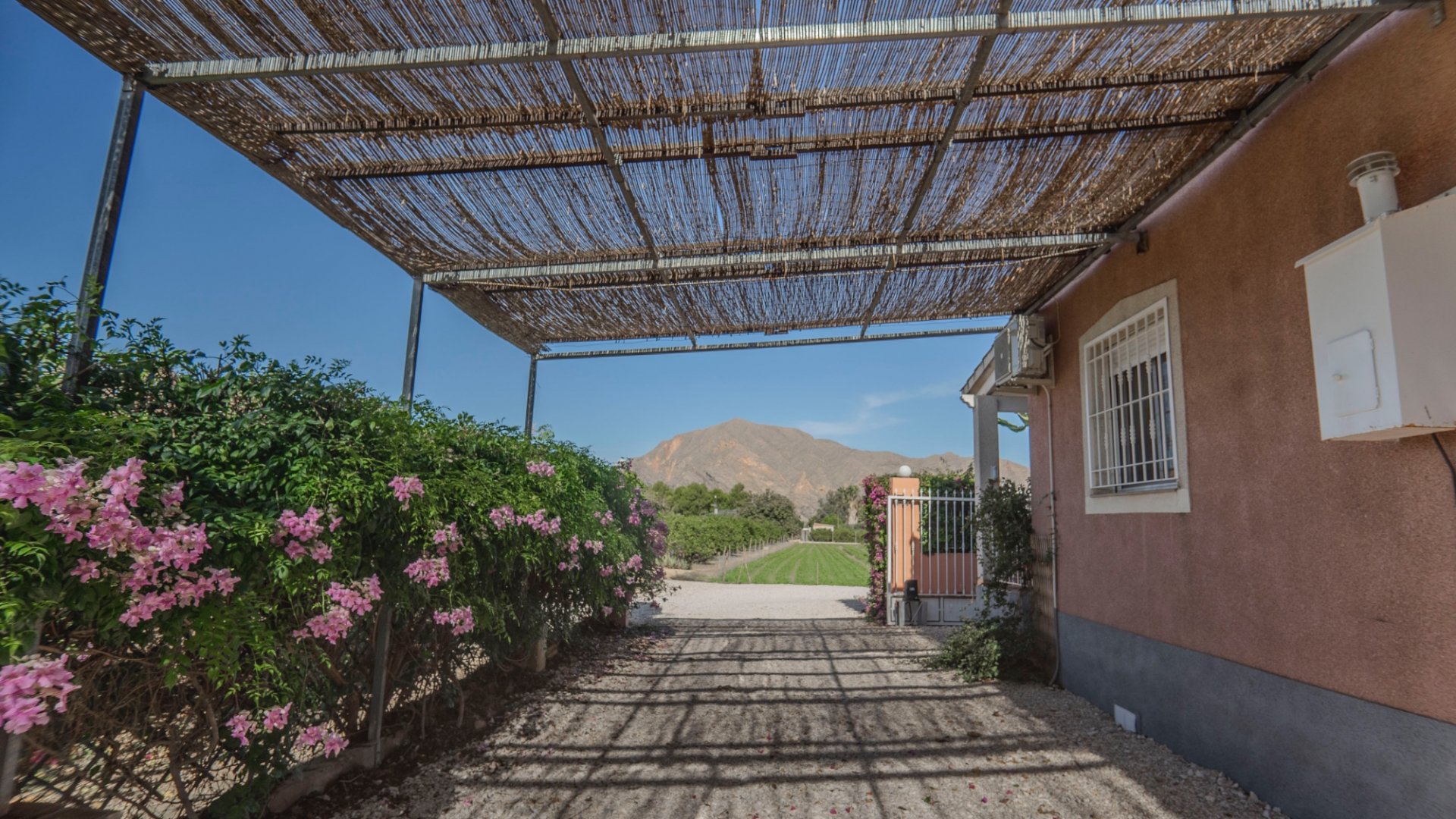 Finca à Orihuela, Alicante, Espagne 3 chambres, 110 m2 No. 116250