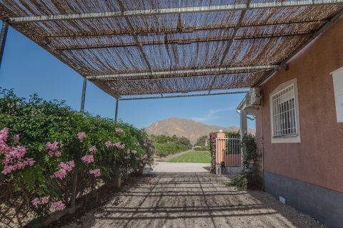 Продажа финки Ориуэла, Аликанте, Испания 3 спальни, 110м2 №116250 - фото 3