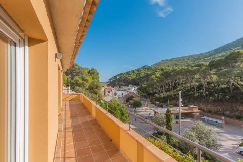 Māja pārdošanā Begur, Girona, Spānijā 4 istabas, 300 m2 Nr. 22797 - attēls 16