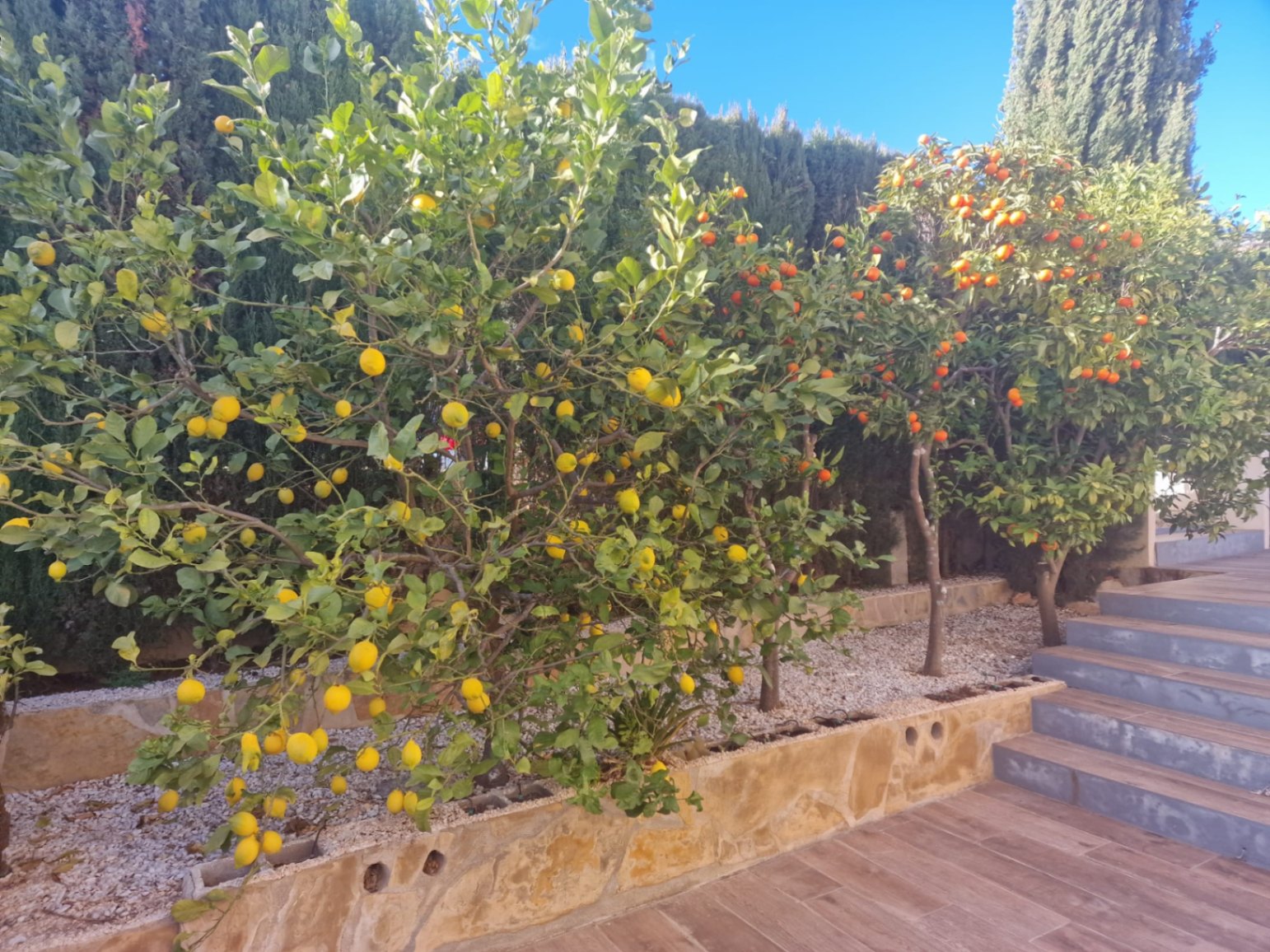 Villa à Benitachell, Alicante, Espagne 3 chambres, 300 m2 No. 115532