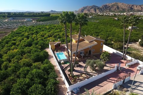 Finca for sale Alicante, Spain 4 bedrooms,  No. 115524 - photo 2