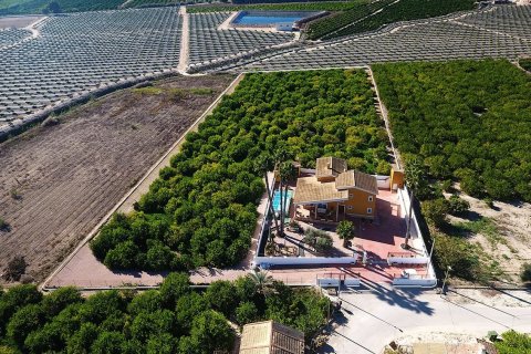 Finca for sale Alicante, Spain 4 bedrooms,  No. 115524 - photo 4