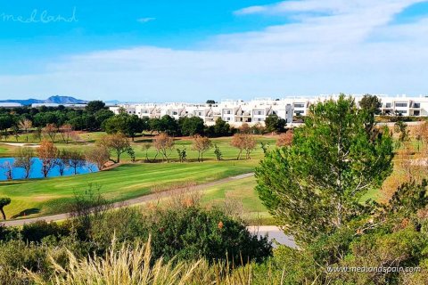 Villa en venta Pilar de la Horadada, Alicante, España 3 dormitorios, 149.6 m2 No. 60150 - foto 3