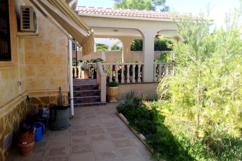 Villa for sale Torrevieja, Alicante, Spain 3 bedrooms, 180 sq.m. No. 84889 - photo 30