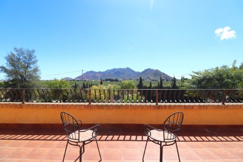 Finca for sale Cox, Alicante, Spain 6 bedrooms, 514 sq.m. No. 117739 - photo 3