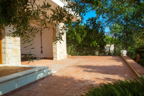 Casa in vendita Tossa de Mar, Girona, Spagna 6 camere da letto, 406 mq. N° 21518 - foto 2