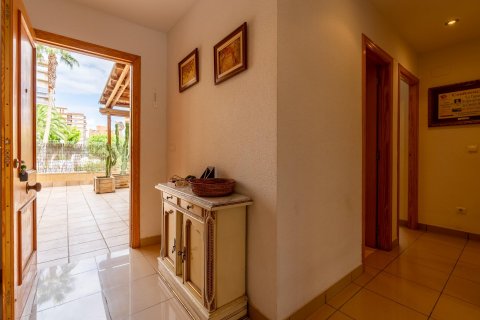 Działka El Campello, Alicante, Hiszpania 109 mkw. nr 109123 – zdjęcie 4