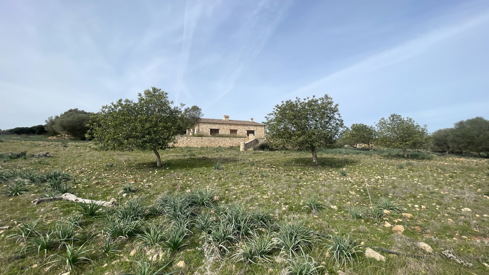Finca a Maria De La Salut, Mallorca, Spagna 3 camere da letto, 244 mq. N° 93051