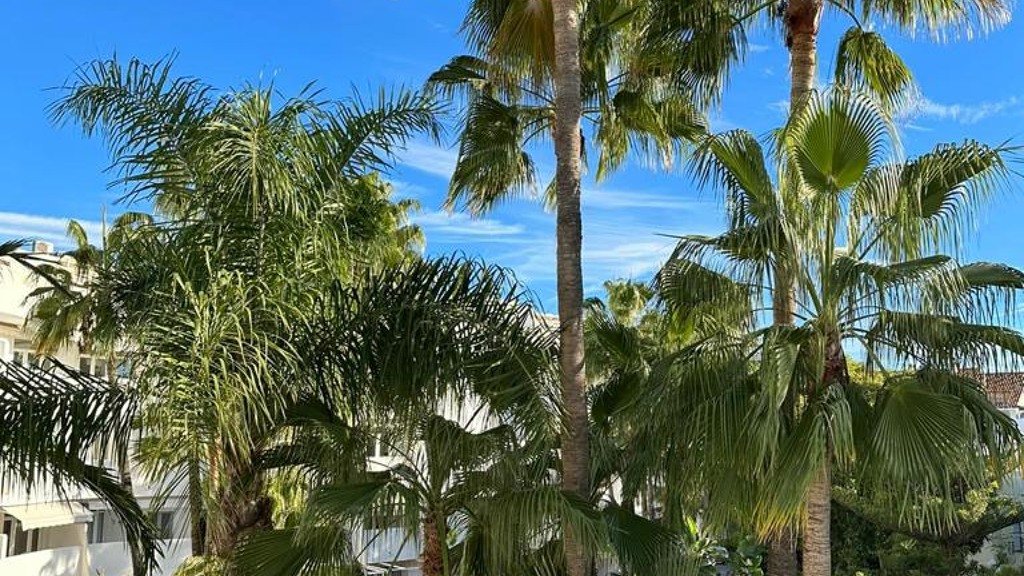 Lägenhet i Marbella, Malaga, Spanien 3 sovrum, 115 kvm. Nr. 93035