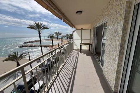 Apartment à vendre à Torrevieja, Alicante, Espagne, 4 chambres, 140 m2 No. 84774 - photo 26