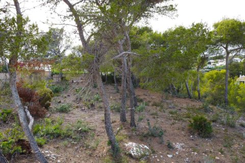 Terreno in vendita Javea, Alicante, Spagna N° 113049 - foto 9