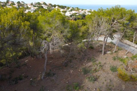 Terreno in vendita Javea, Alicante, Spagna N° 113049 - foto 6