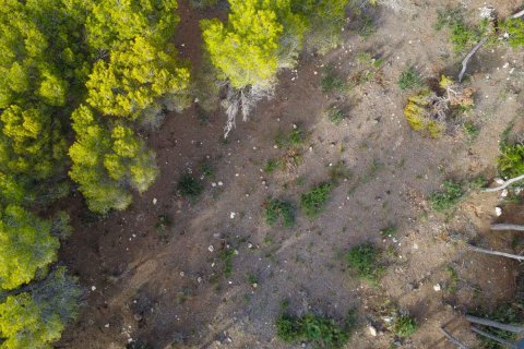 Terreno in vendita Javea, Alicante, Spagna N° 113049 - foto 4