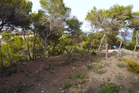 Terreno in vendita Javea, Alicante, Spagna N° 113049 - foto 7