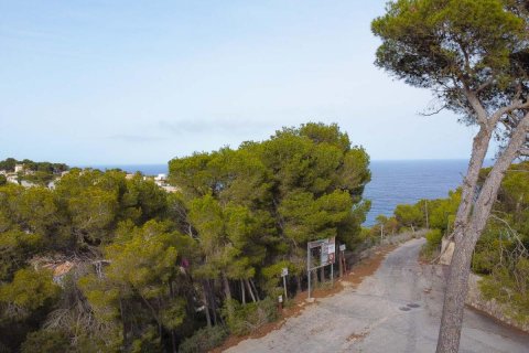 Terreno in vendita Javea, Alicante, Spagna N° 113049 - foto 13