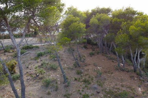 Terreno in vendita Javea, Alicante, Spagna N° 113049 - foto 11