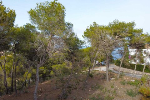 Terreno in vendita Javea, Alicante, Spagna N° 113049 - foto 5