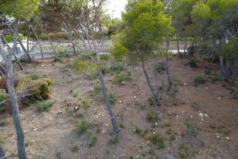 Terreno in vendita Javea, Alicante, Spagna N° 113049 - foto 12