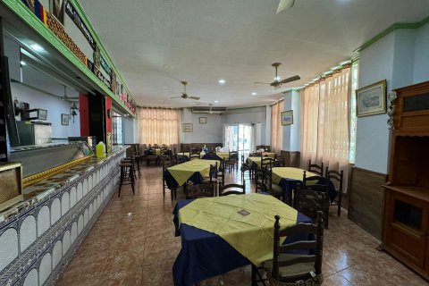 Commercial property for sale Torrevieja, Alicante, Spain 118 sq.m. No. 117123 - photo 6