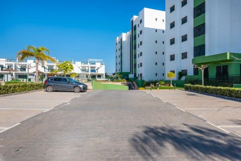 Apartament Mil Palmeras, Alicante, Hiszpania 2 sypialnie, 75 mkw. nr 113843 – zdjęcie 25