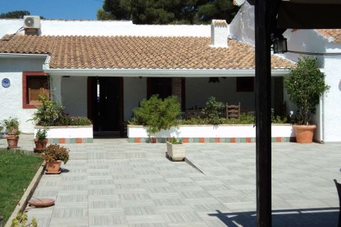Villa for sale Cabo Roig, Alicante, Spain 9 bedrooms, 221 sq.m. No. 113842 - photo 9