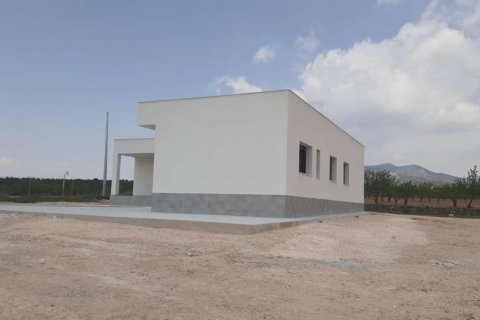 Villa in vendita Pinoso, Alicante, Spagna 3 camere da letto, 145 mq. N° 113841 - foto 4