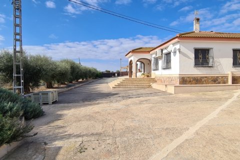 Villa in vendita Alicante, Spagna 3 camere da letto, 330 mq. N° 115337 - foto 3
